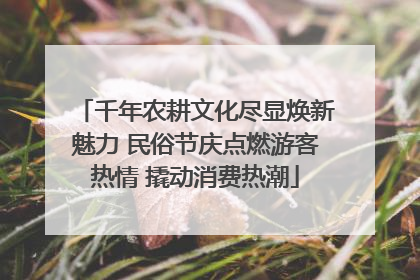 千年农耕文化尽显焕新魅力 民俗节庆点燃游客热情 撬动消费热潮